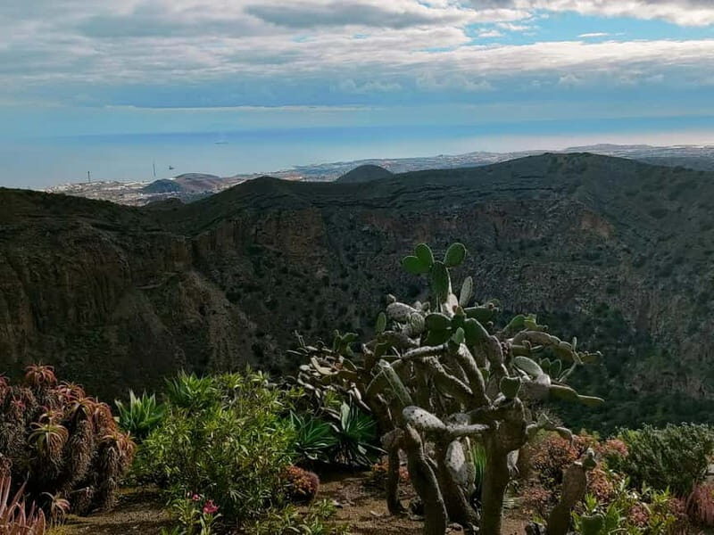 From Las Palmas: Half day tour Volcano Bandama & Vineyard - Key Points  