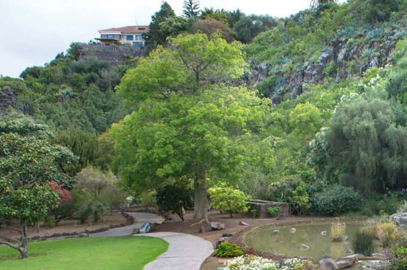 From Las Palmas: Half day tour Volcano Bandama & Vineyard - A Walk Through the Botanical Garden  