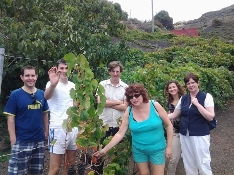From Las Palmas: Half day tour Volcano Bandama & Vineyard - Practicalities and Logistics  
