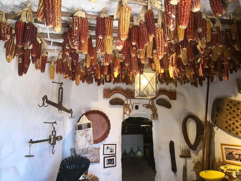 From Las Palmas High Mountains Tejeda & Artenara - Exploring the Itinerary in Detail