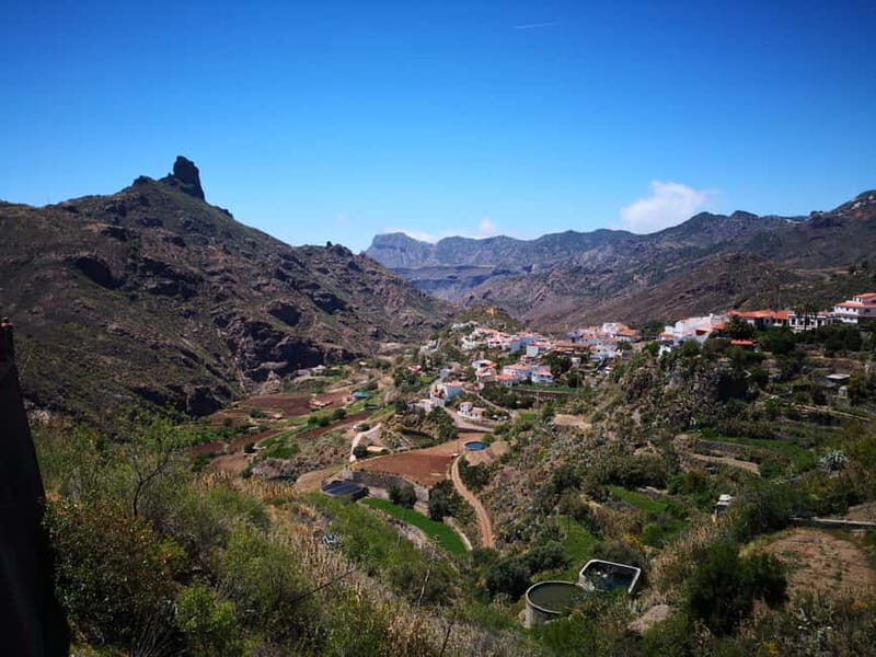 From Las Palmas High Mountains Tejeda & Artenara - Who Will Love This Tour?