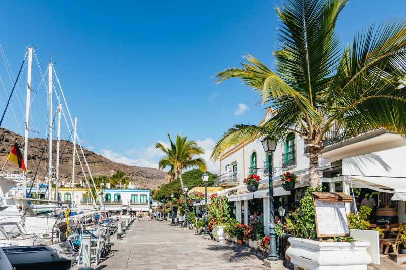 From Las Palmas: Highlights of Gran Canaria Day Tour - Marveling at Maspalomas Dunes