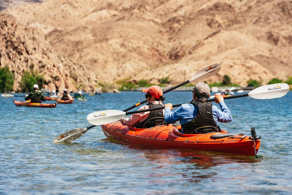 From Las Vegas: Black Canyon Half-Day Kayak Tour - Key Points