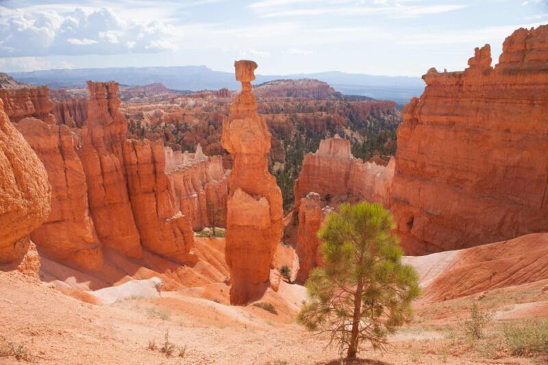 From Las Vegas: Bryce Canyon and Zion Park Tour with Lunch - Who Should Consider This Tour