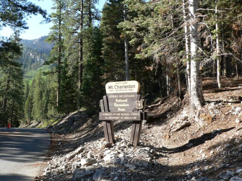 From Las Vegas: Day Trip to Mount Charleston Resort - An Honest Breakdown of the Experience
