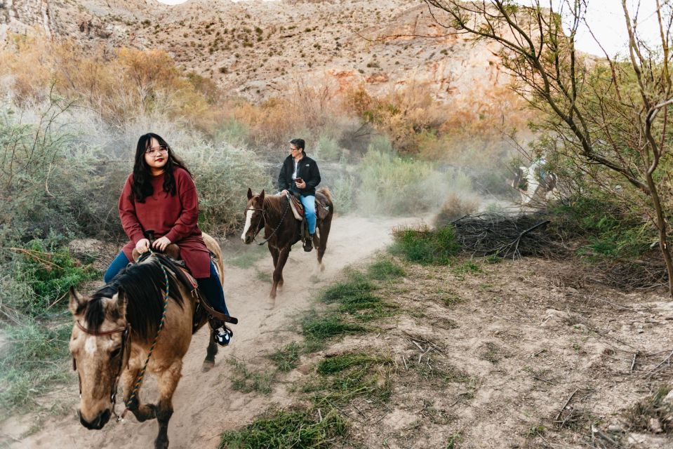 From Las Vegas: Desert Sunset Horseback Ride With BBQ Dinner - Peaceful Traverse of Mojave