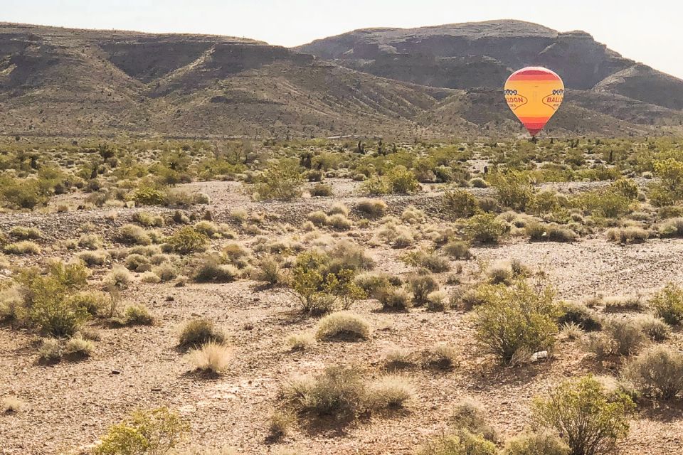 From Las Vegas: Mojave Desert Sunrise Hot Air Balloon Ride - Meeting Point and Transportation