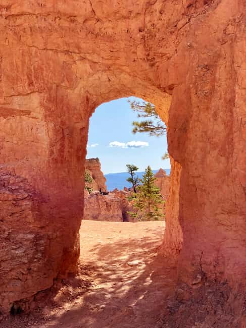 From Las Vegas: Private Bryce Canyon Hiking Tour - Key Points