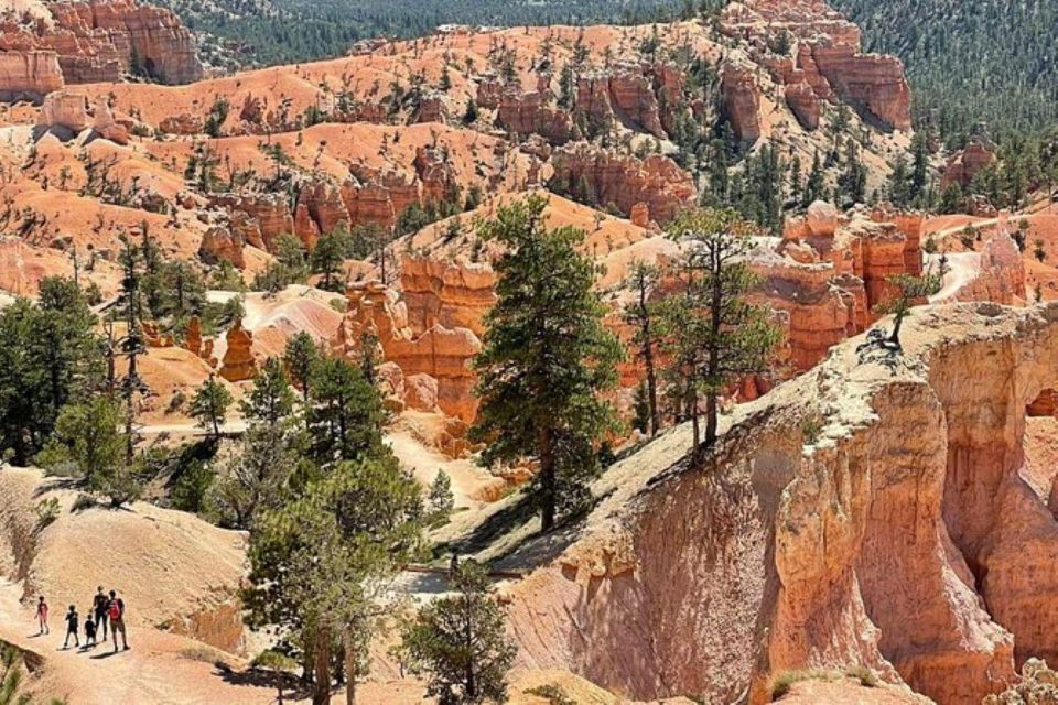 From Las Vegas: Private Tour to Zion National Park - Exploring Virgin River Gorge