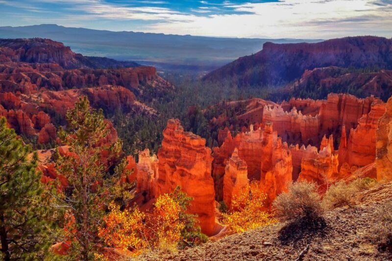 From Las Vegas: Zion and Bryce National Park Overnight Tour - Key Points