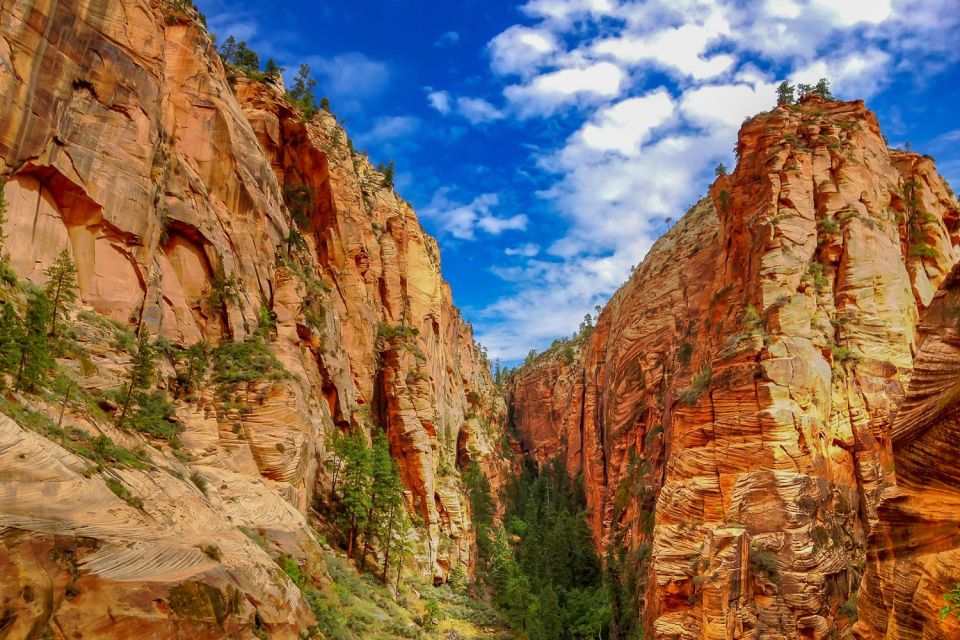 From Las Vegas: Zion and Bryce National Park Overnight Tour - Experience Highlights