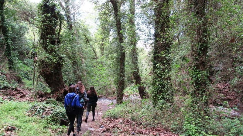 From Lasithi: Richtis Gorge - An Authentic Day Out in Crete’s Nature and Villages  