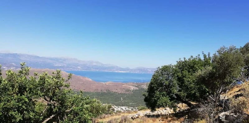 From Lasithi: Richtis Gorge - FAQ  
