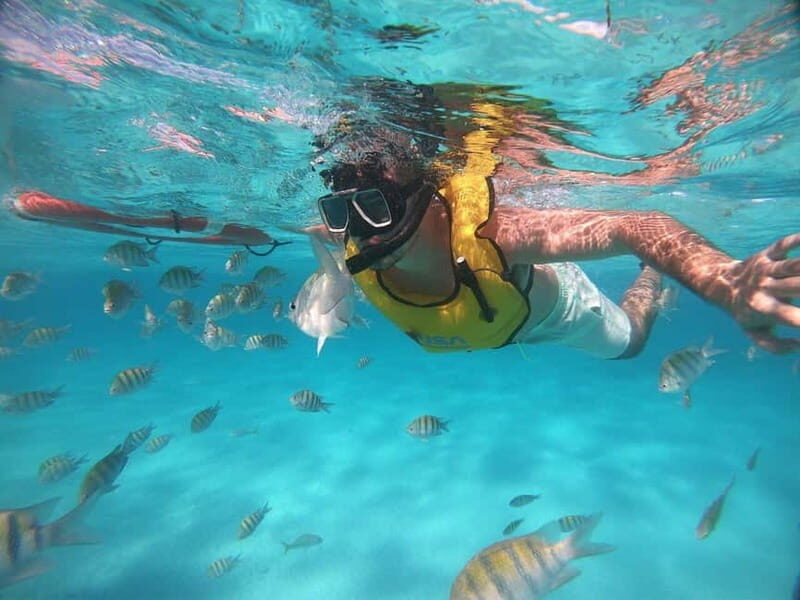 FROM LATCHI: Blue Lagoon Akamas Cruise - large water slide - Key Points