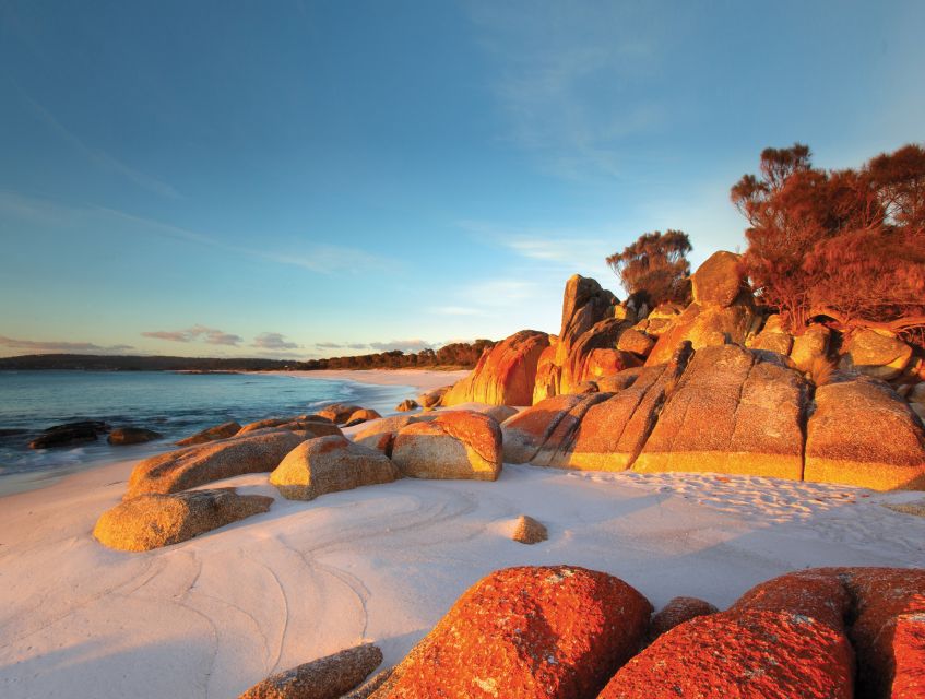 From Launceston: Bay of Fires Hiking Tour - 4 Days - Tour Highlights