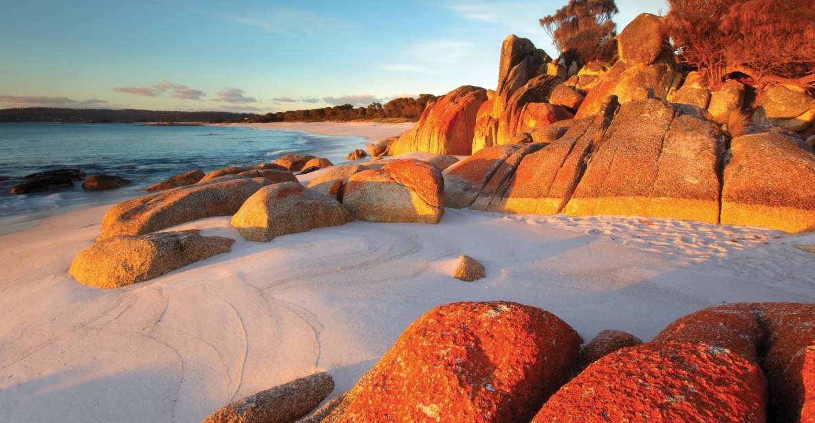 From Launceston: Bay of Fires Hiking Tour - 4 Days - Recap