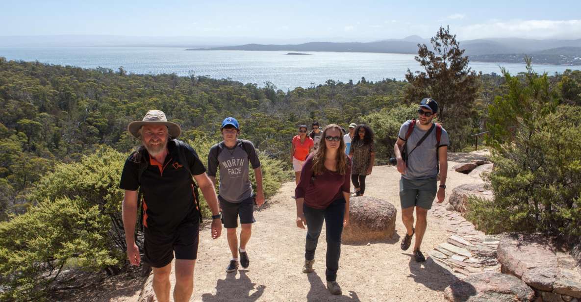 From Launceston: Full-Day Wineglass Bay Explorer Tour - Tour Highlights