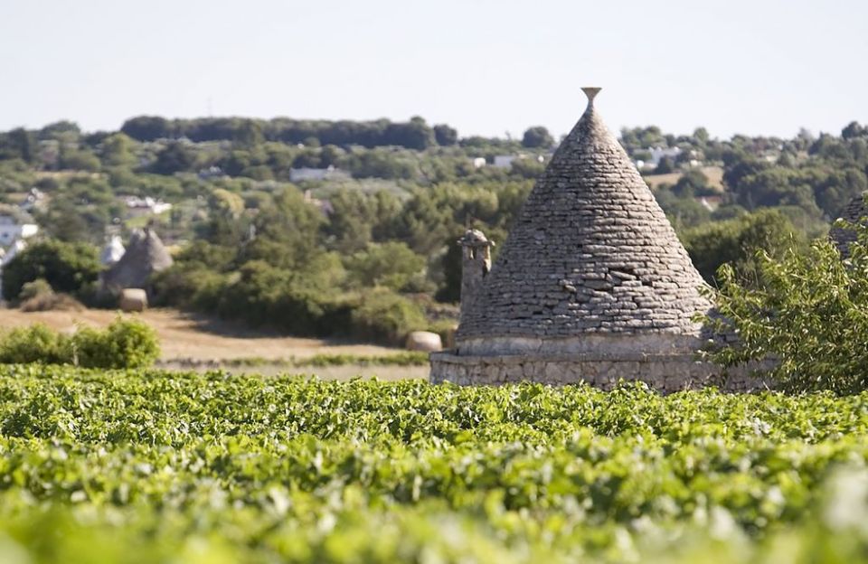 From Lecce: Full-Day Valle D'itria Tour With Guide - Discovering Alberobello