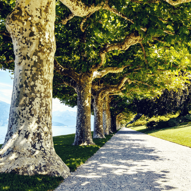From Lecco: Lakeside Villas Entry Tickets with Ferries - Key Points