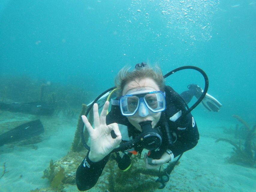 From Leigh: Goat Island Try Scuba Diving Experience - Key Points