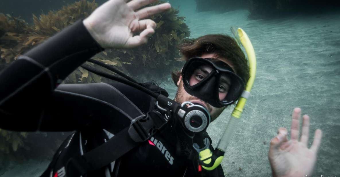 From Leigh: Goat Island Try Scuba Diving Experience - Price and Duration
