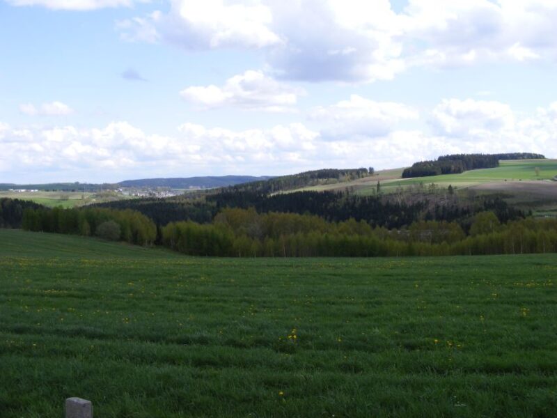 From Leipzig: Day Tour to the Green Belt - Highlights and Activities