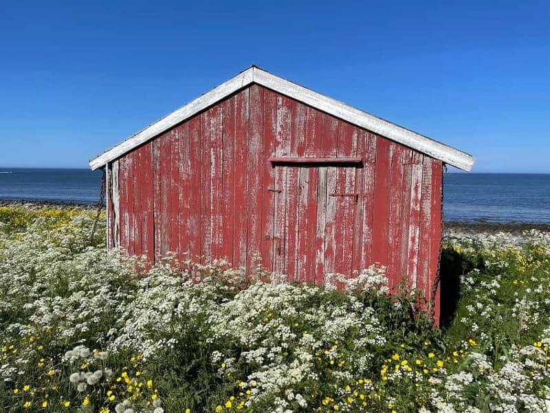 From Leknes: Lofoten Sightseeing Tour - An In-Depth Look at the Lofoten Sightseeing Tour