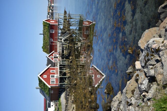 From Leknes: Private Lofoten Islands Tour With Transfer - Customer Feedback