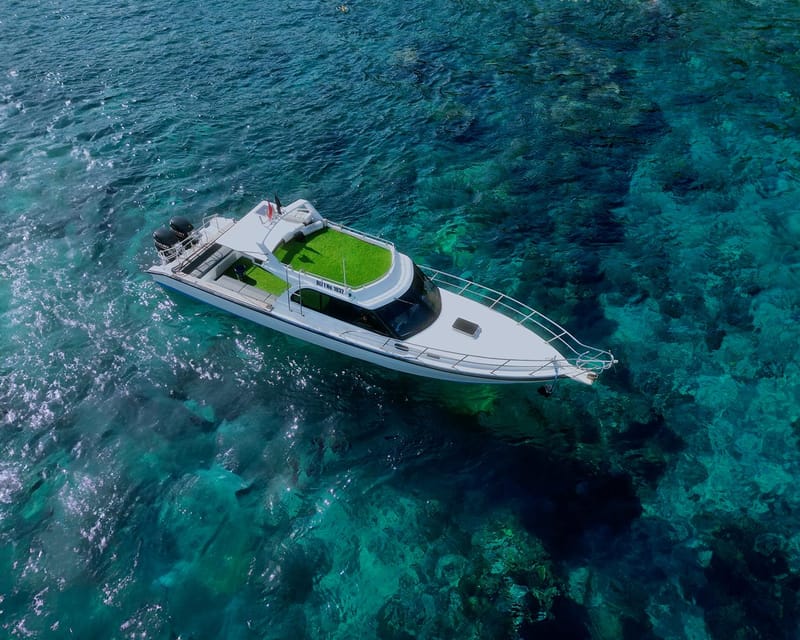 From Lembongan: Full Day Private Boat Snorkeling Nusa Penida - Who Should Consider This Tour?