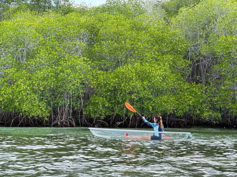 From Lembongan: Kayak/Paddleboard/Boat Mangrove Tour - Final Thoughts