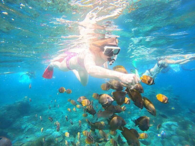 From Lembongan: Nusa Penida Private Snorkeling & West Tour - Key Points  