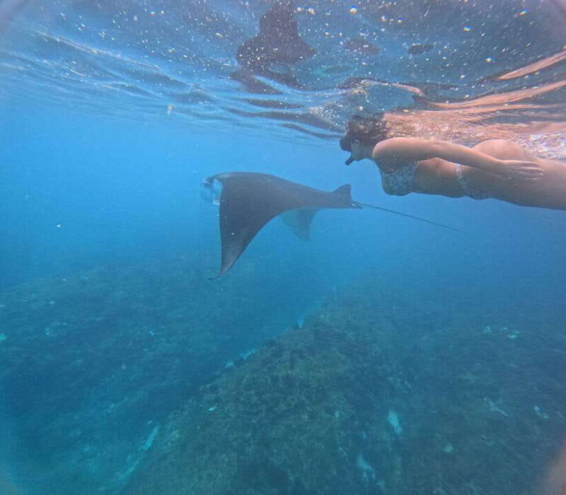 From Lembongan: Nusa Penida Private Snorkeling & West Tour - Why You’ll Love This Tour  