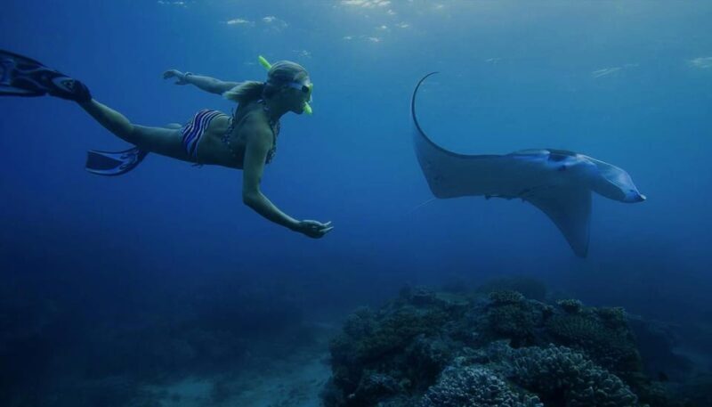 From Lembongan: Nusa Penida Private Snorkeling & West Tour - Final thoughts  