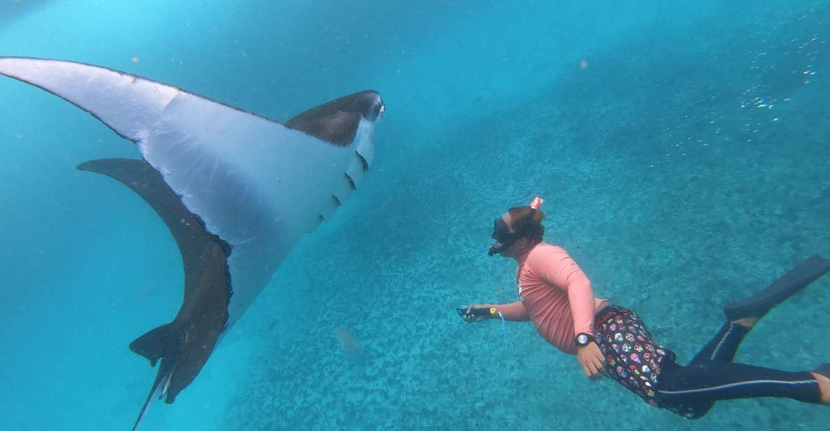 From Lembongan: Nusa Penida Snorkeling Day Trip - Additional Information