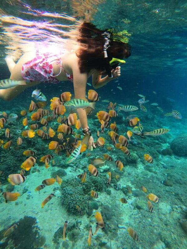 From Lembongan: Snorkeling 3 Spots, Mangrove and Land Tour - Key Points