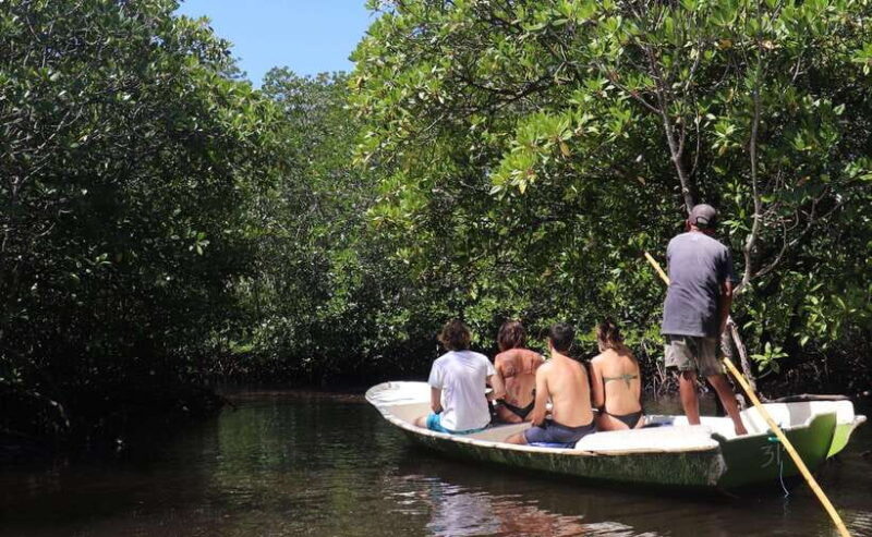 From Lembongan: Snorkeling 3 Spots, Mangrove and Land Tour - Introduction: A Practical and Authentic Bali Marine Adventure