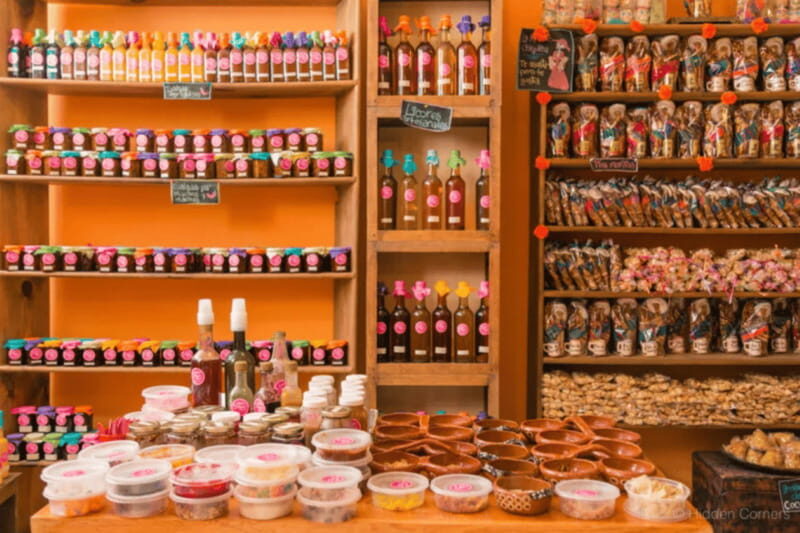 From Leon: San Miguel de Allende Day Trip - Practical Tips for Making the Most of This Tour