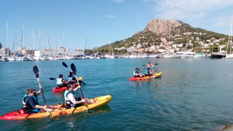 From LEstartit: Sea Kayaking Tour to the Medes Islands - Good To Know