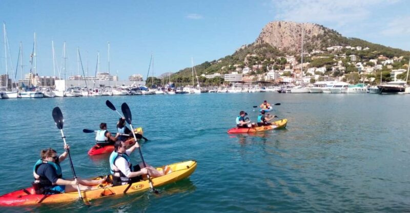 From LEstartit: Sea Kayaking Tour to the Medes Islands - Experience Highlights