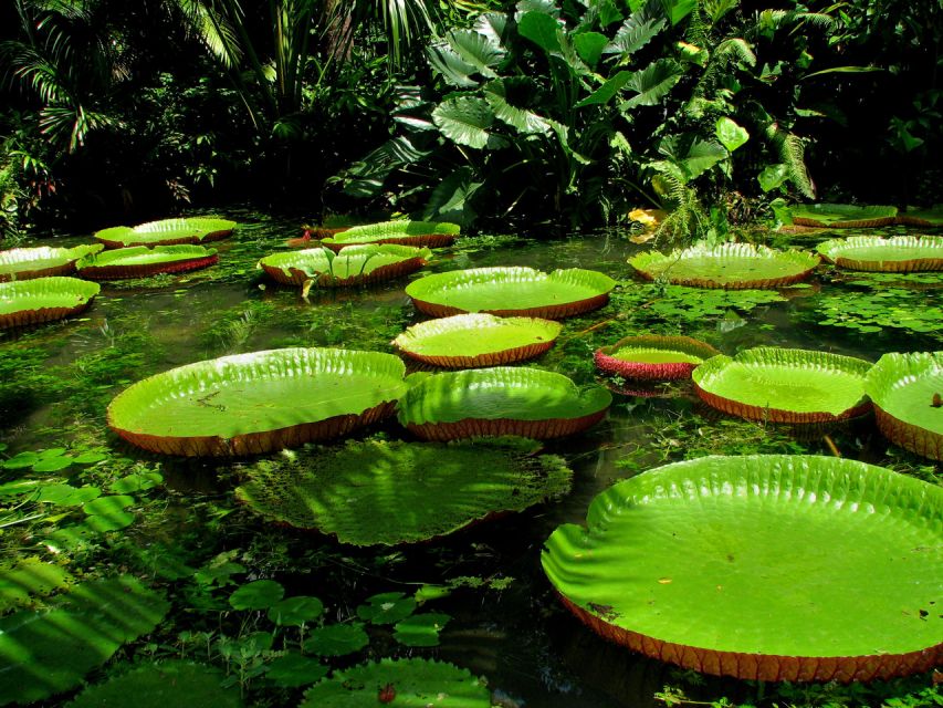 From Leticia: Wild Amazonas Adventure 4-Day Tour - Included Amenities