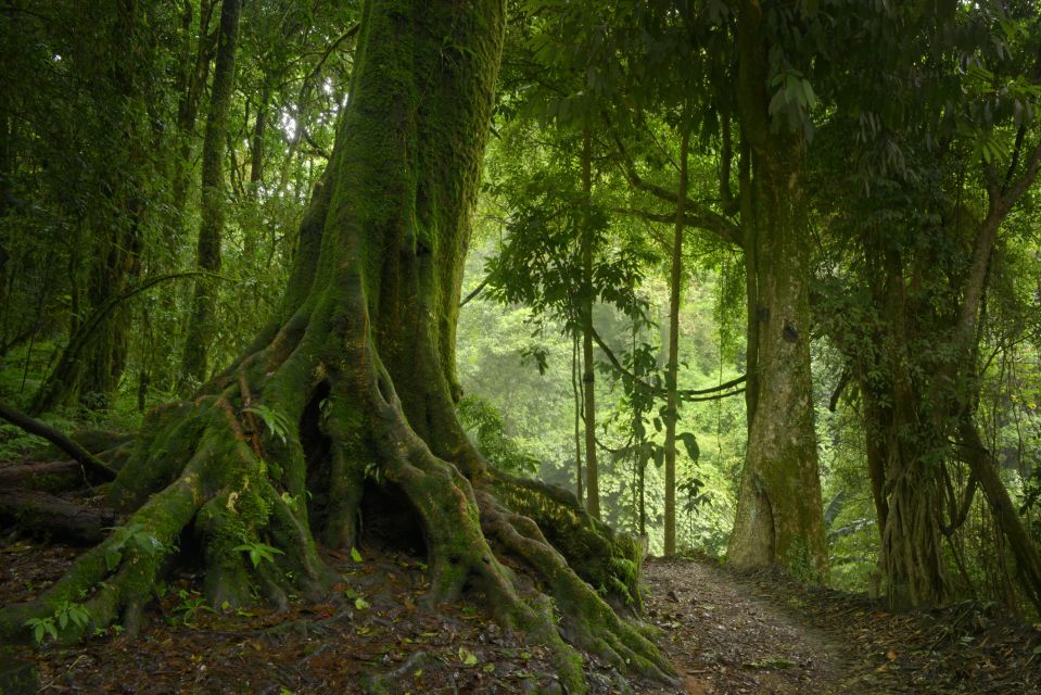 From Leticia: Wild Amazonas Adventure 4-Day Tour - Highlights of the Tour