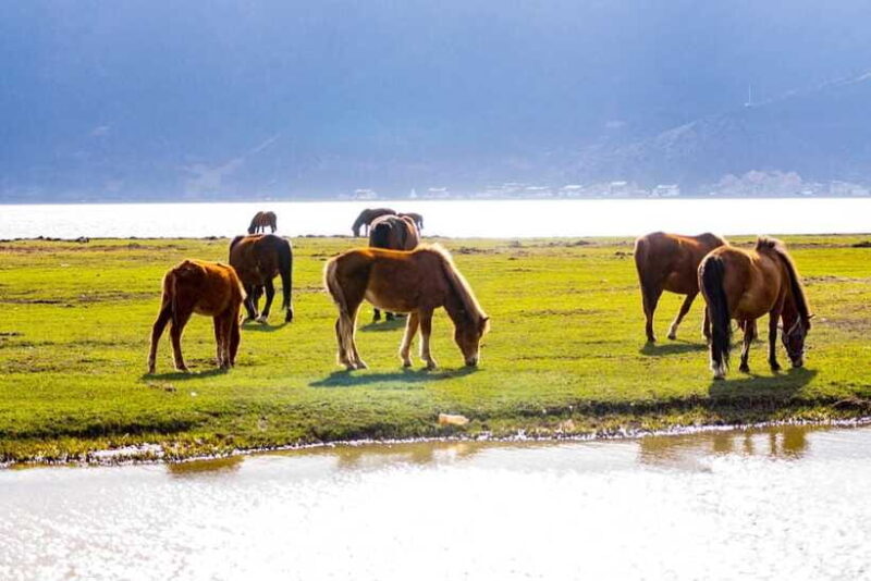 From Lijiang: 6-Day Lijiang to Shangri-La Adventure Tour - Final Thoughts
