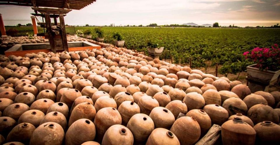 From Lima: 1-day Ica Paracas Excursion + Vineyards and Buggy - What to Bring
