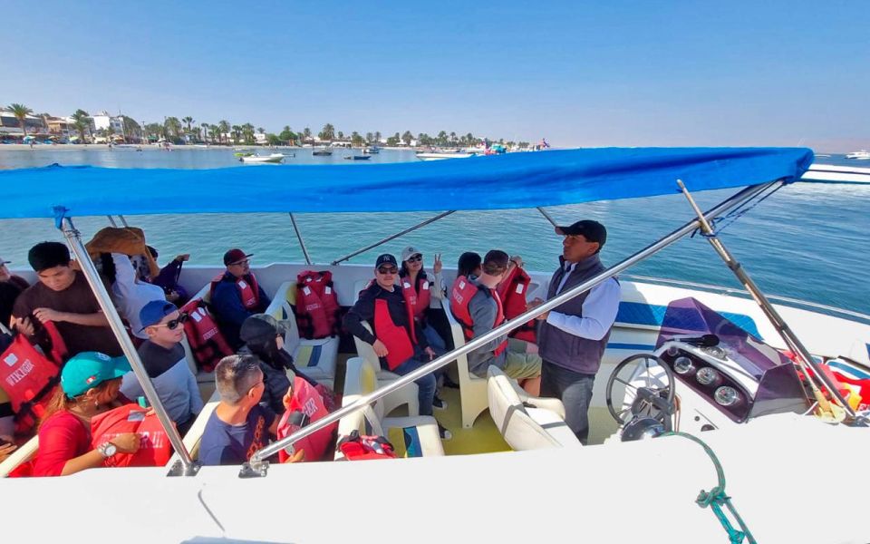 From Lima: Ballestas Islands and Huacachina (Private Tour) - Inclusions and What to Expect