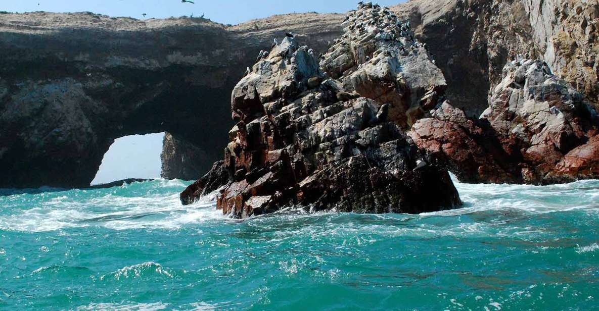 From Lima | Ballestas Islands and Huacachina Tour - Itinerary Highlights