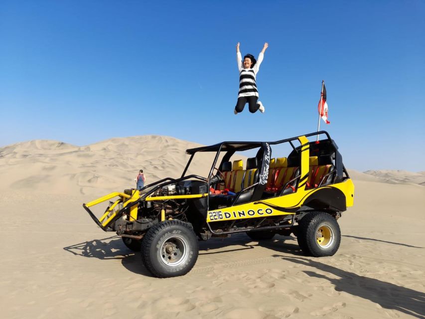 From Lima: Ballestas Islands, Huacachina With Buggy Economic - Exciting Highlights