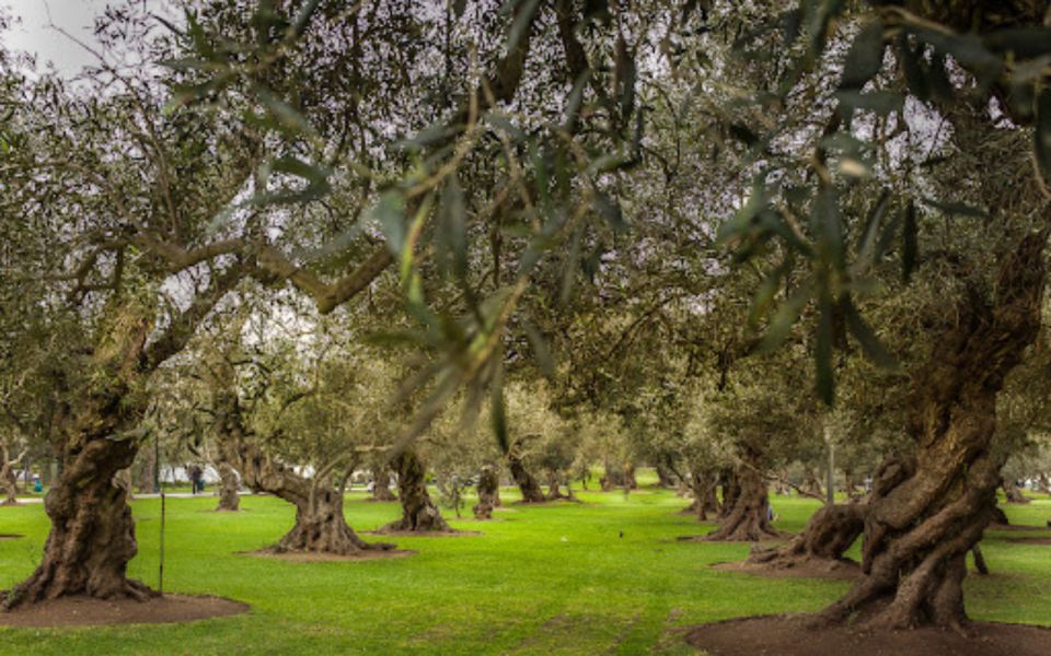 From Lima: City Highlights Tour in 1 Day - Barranco District Experience