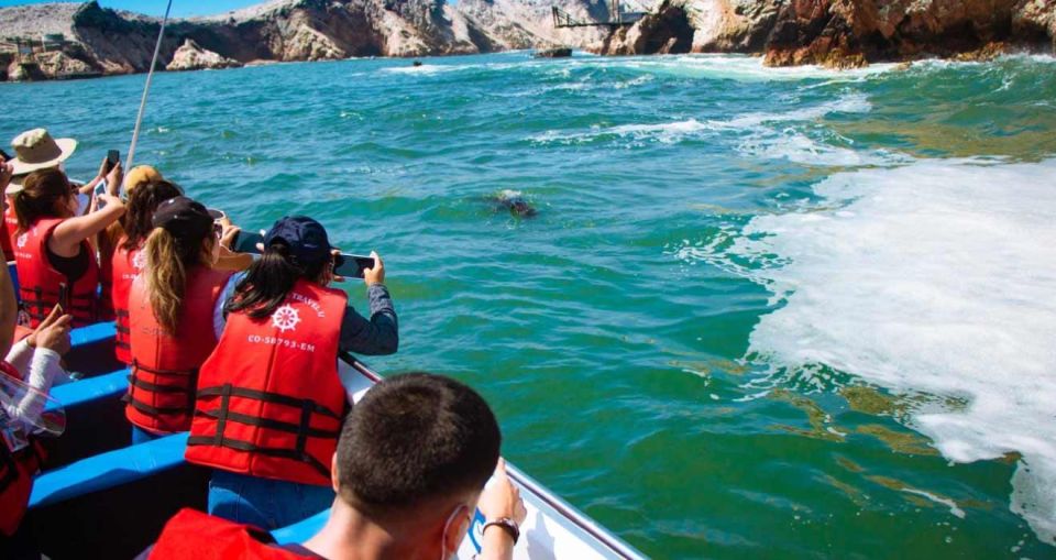 From Lima: Full Day Tour Paracas, Ica, and Huacachina - Huacachina Oasis