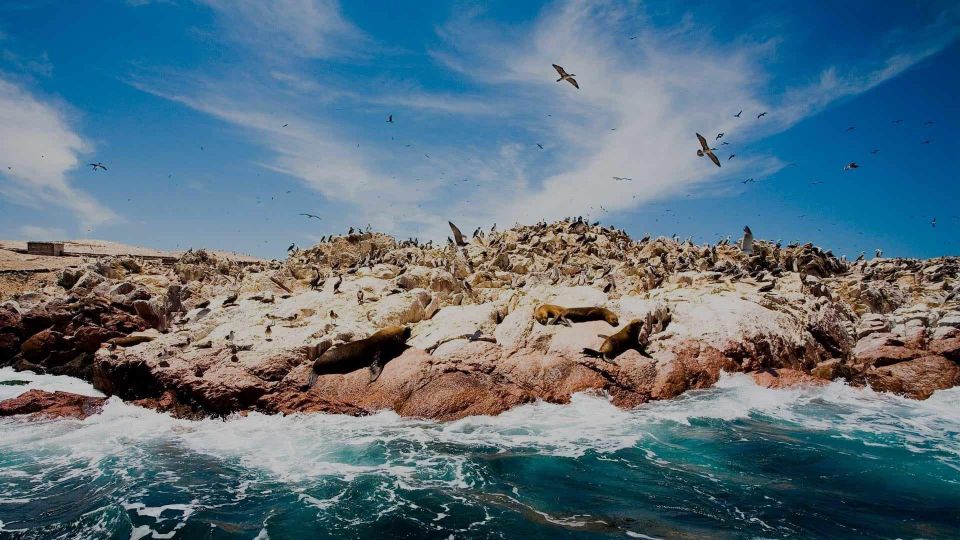 From Lima: Ica-Paracas-Machu Picchu 6D/5N + Hotel **** - Frequently Asked Questions