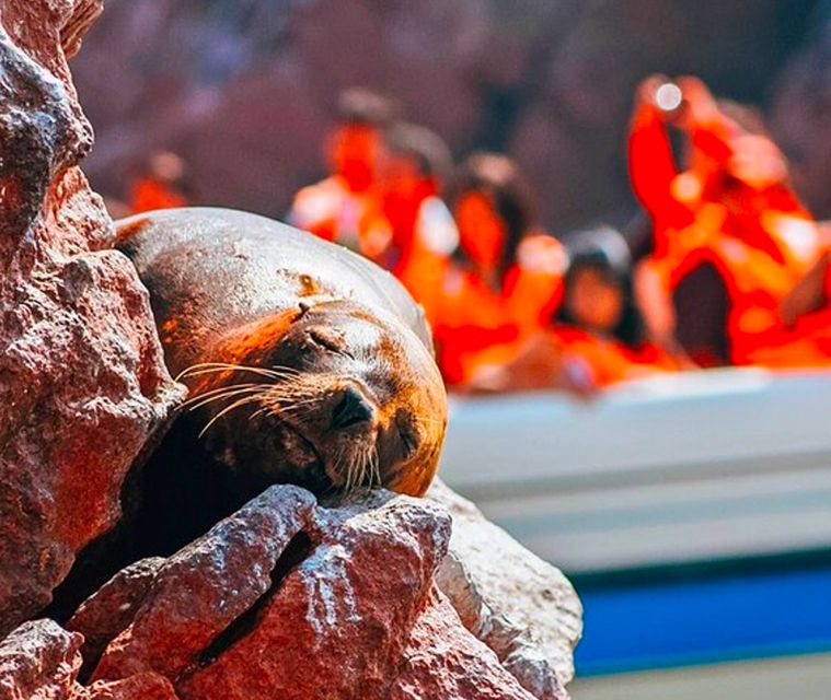From Lima: Paracas and Huacachina Oasis Full Day Tour - Transportation Details